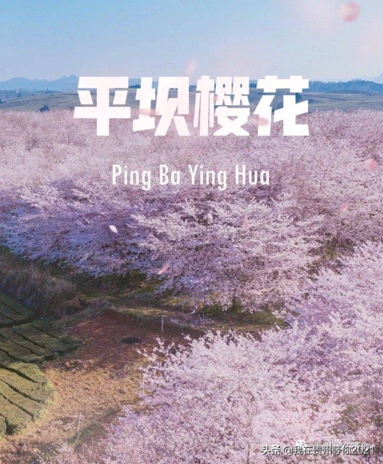 天天爱消除